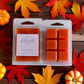 Wax Melts