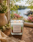 Spring In Muskoka - Lake Mist, Forest Floor, Trillium Bloom | Layered Luxury Cottage Scent
